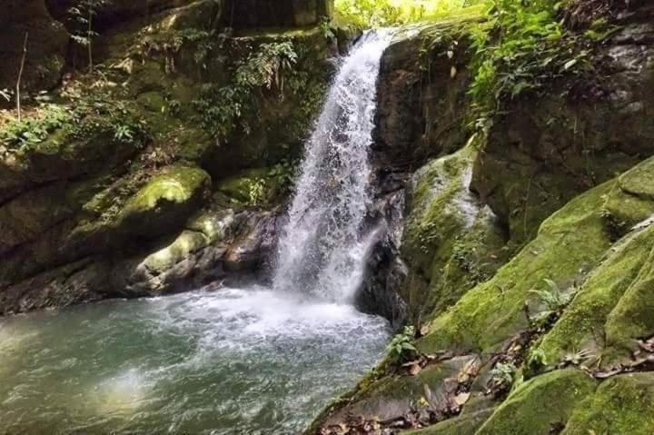 Hotel Posada Campestre San Juan Monterrey 外观 照片
